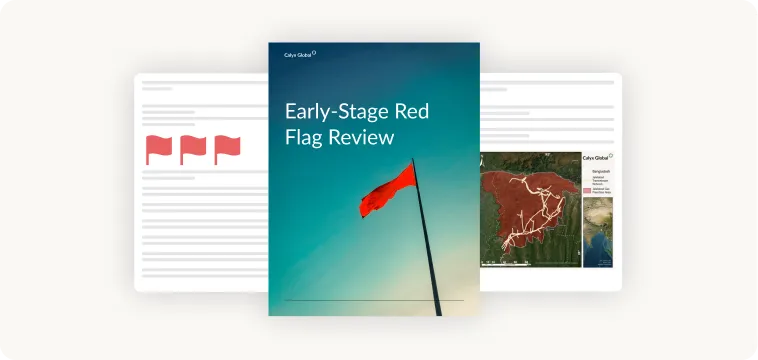 Early-Stage Red Flag Review