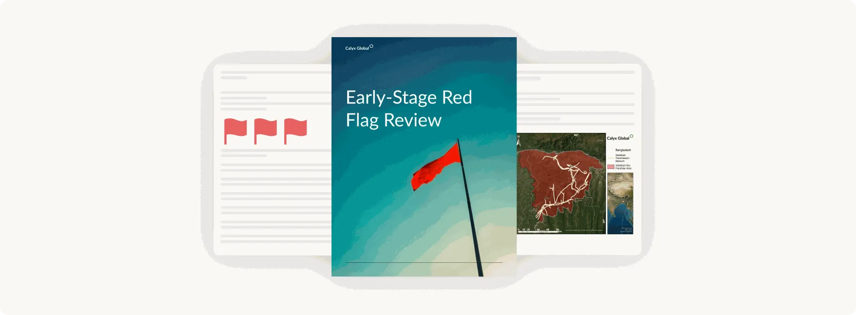 Early-Stage Red Flag Review