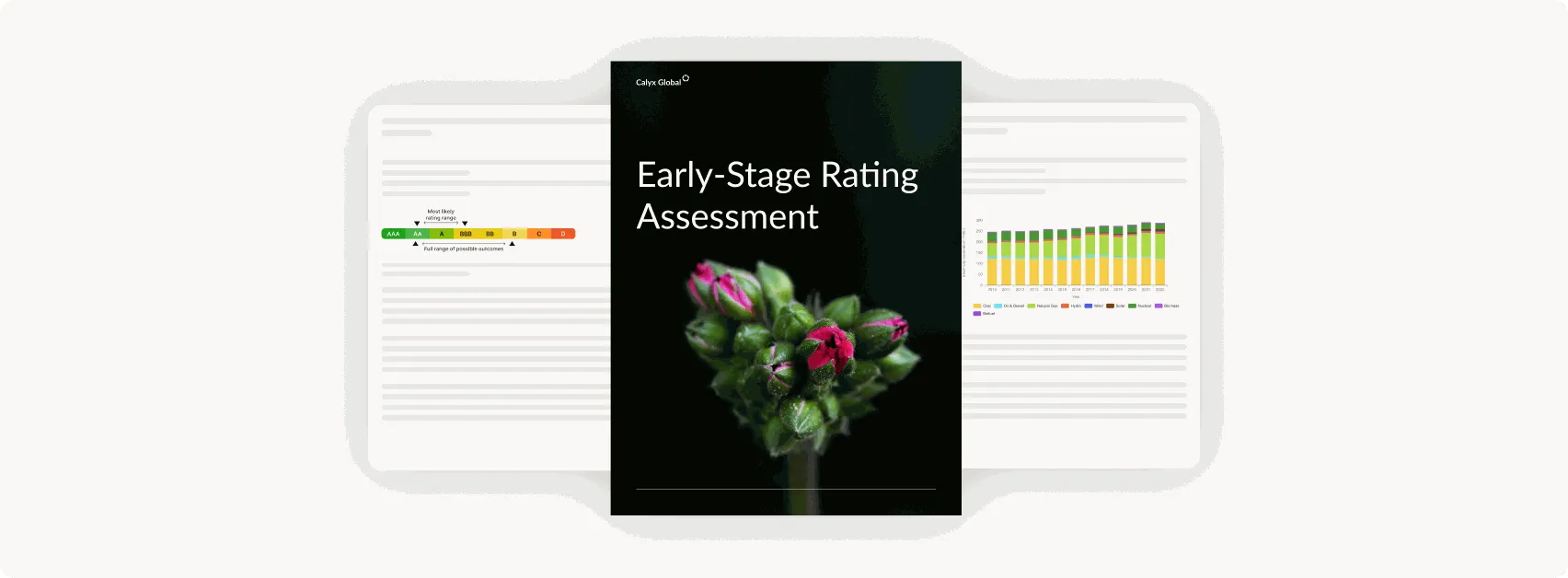 Early-Stage Rating Assessment