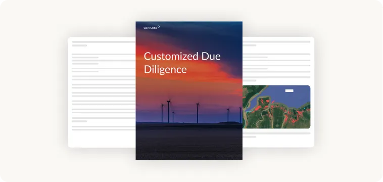 Customized Due Diligence