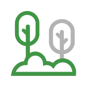 Afforestation and reforestation icon