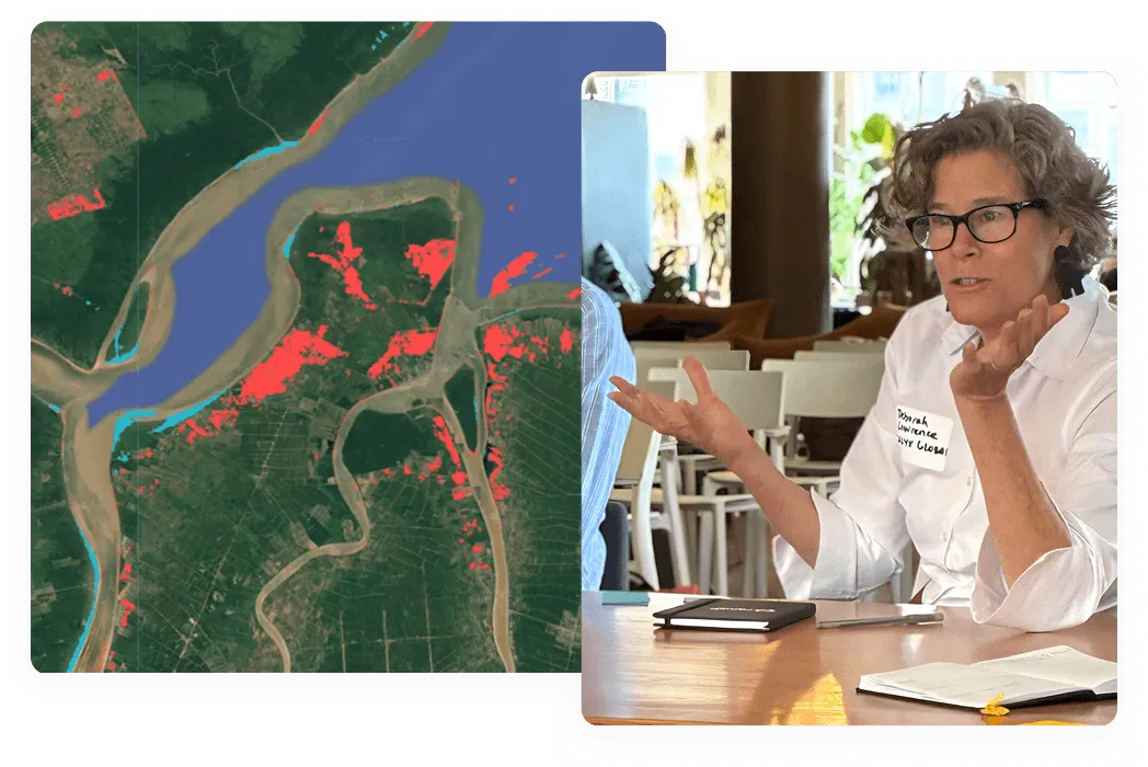 Expert advisory services