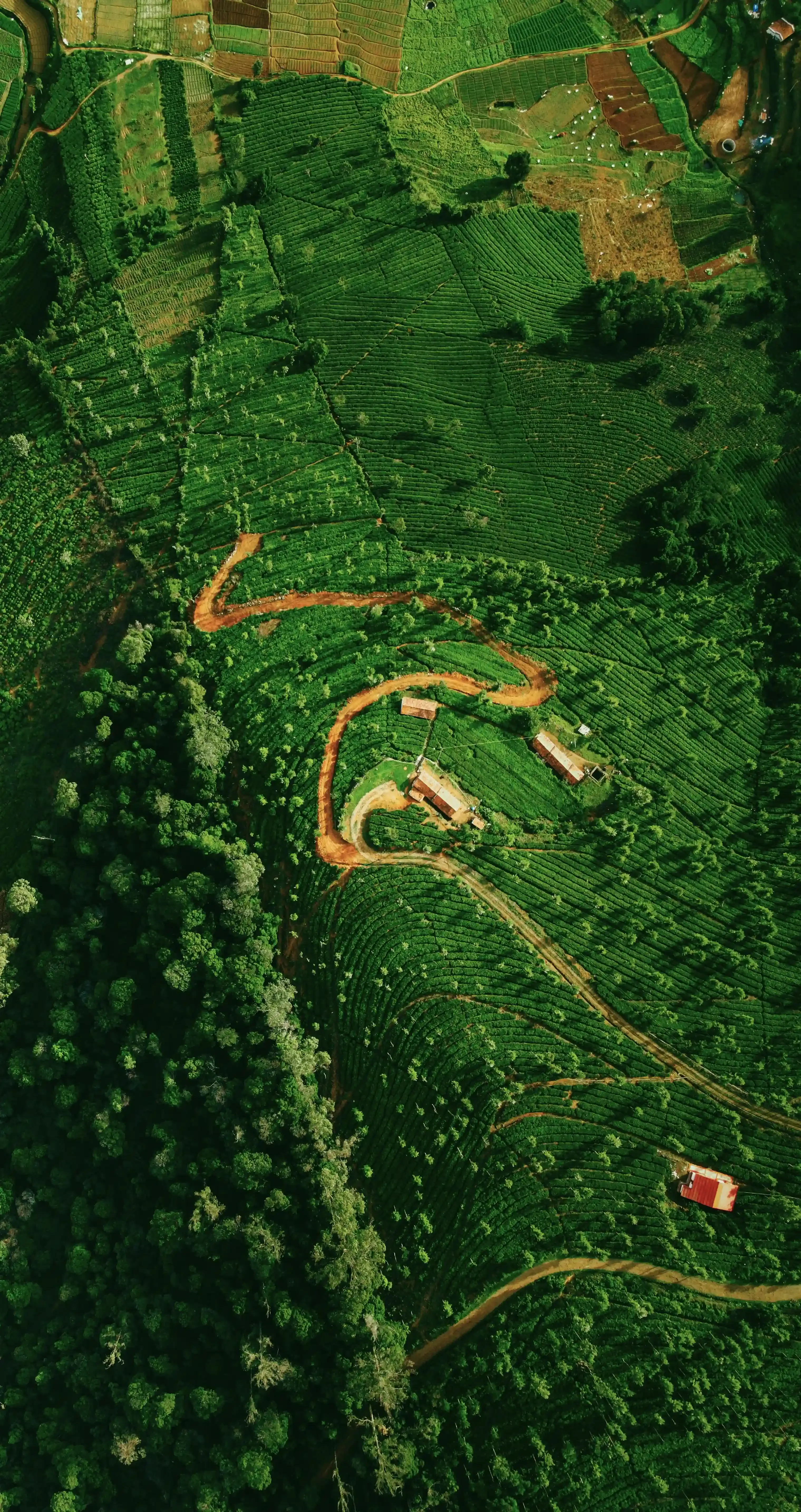 Aerial view of forest and agricultural land
