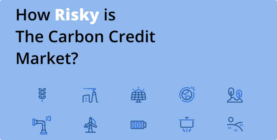 How risky is the carbon credit market?