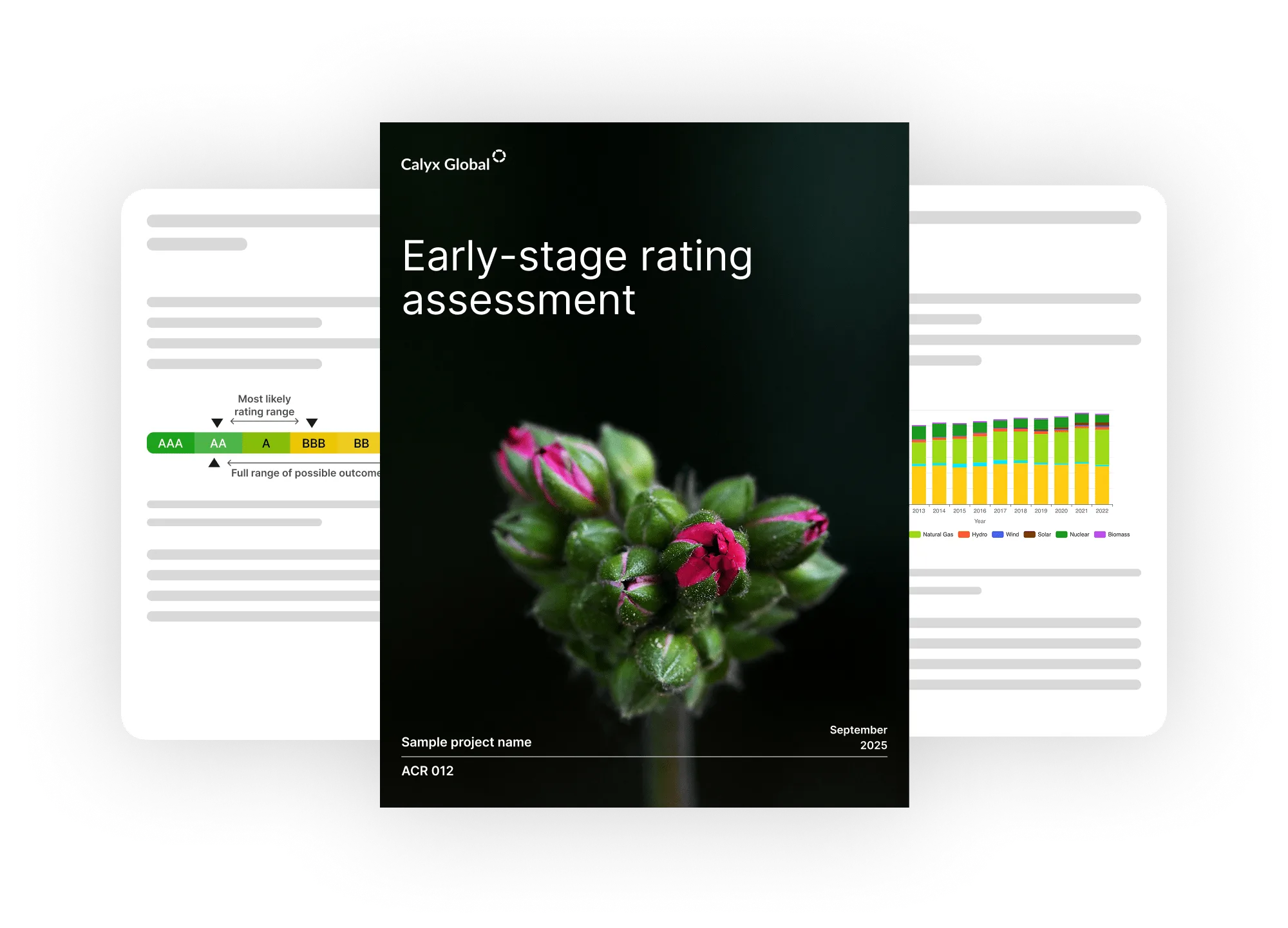 Rating Assessment report preview showing early-stage rating assessment document