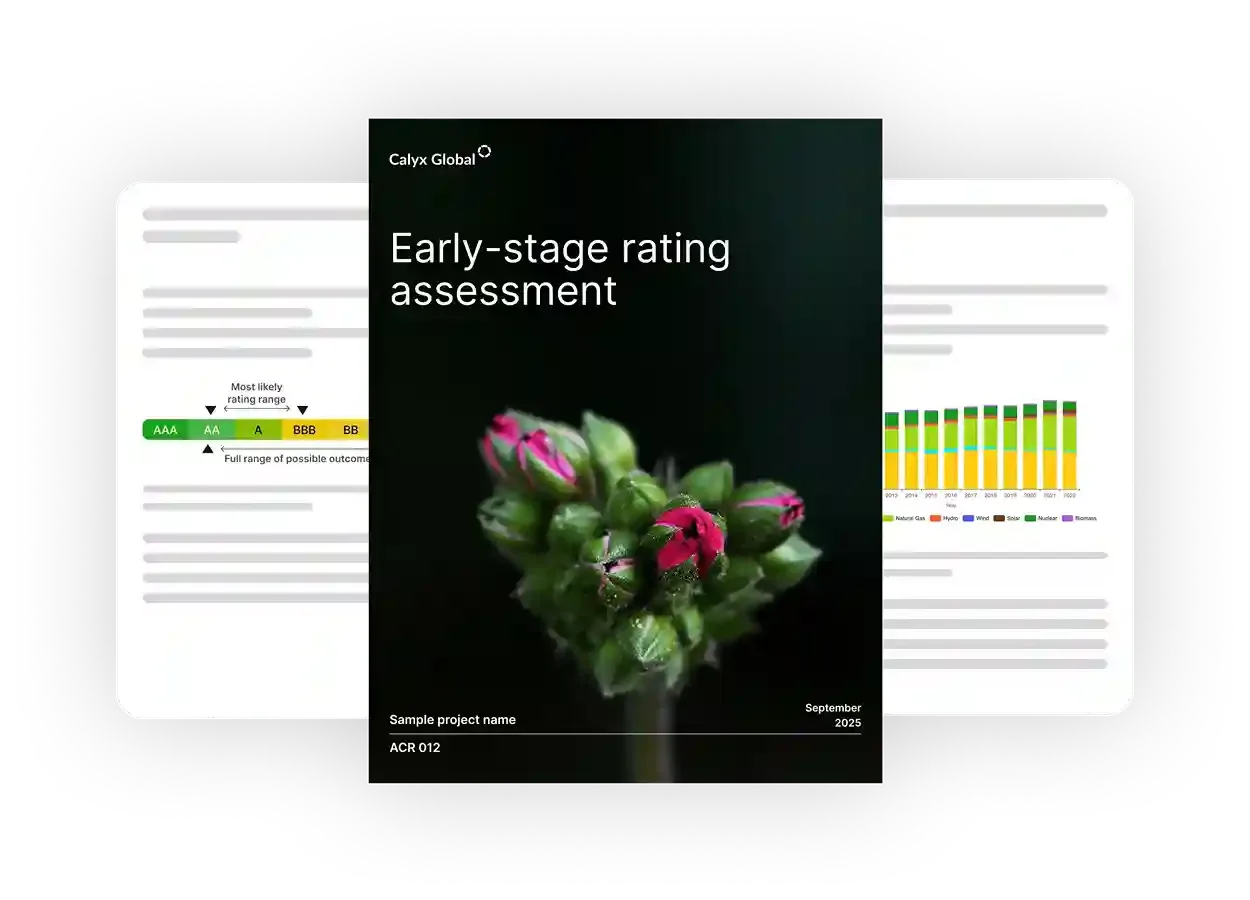 Early-stage assessments